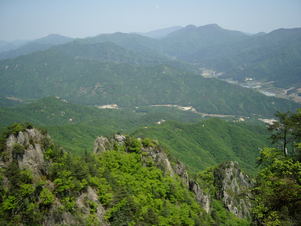 이미지를 클릭하면 원본을 보실 수 있습니다.