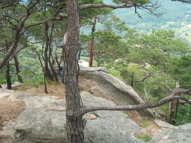 이미지를 클릭하면 원본을 보실 수 있습니다.