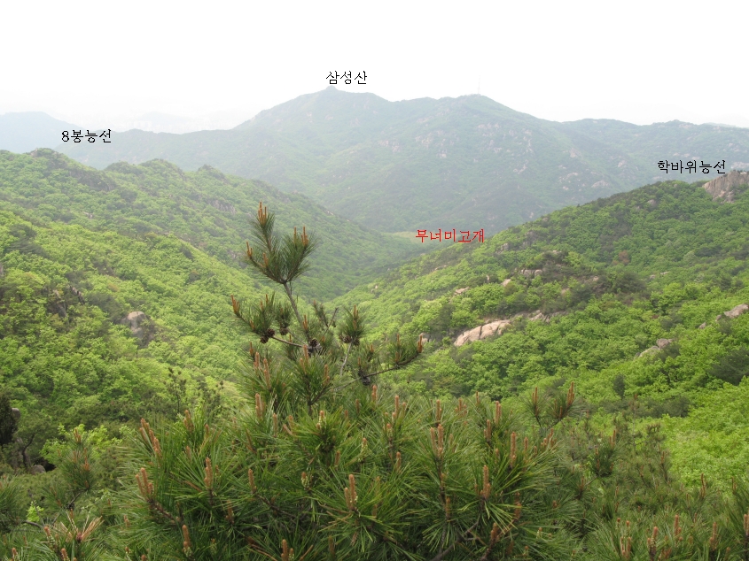 이미지를 클릭하면 원본을 보실 수 있습니다.