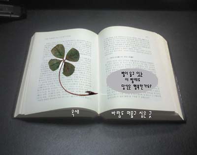 이미지를 클릭하면 원본을 보실 수 있습니다.
