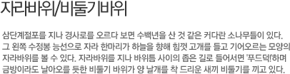 이미지를 클릭하면 원본을 보실 수 있습니다.