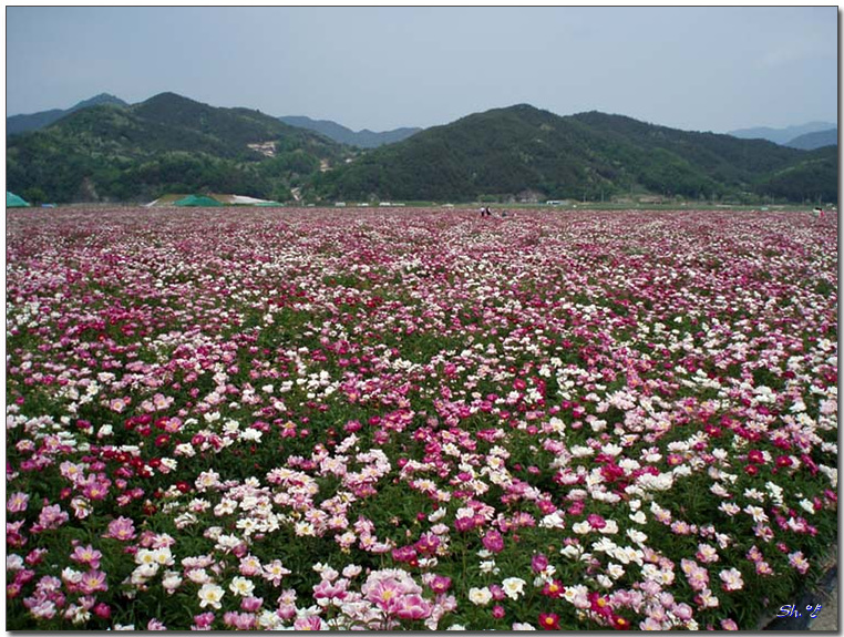 산골농원 이미지