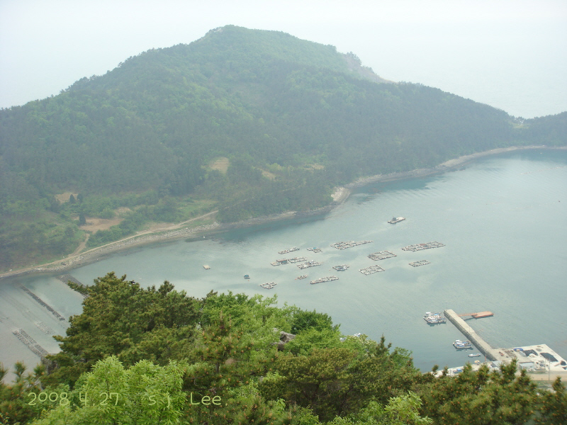 이미지를 클릭하면 원본을 보실 수 있습니다.