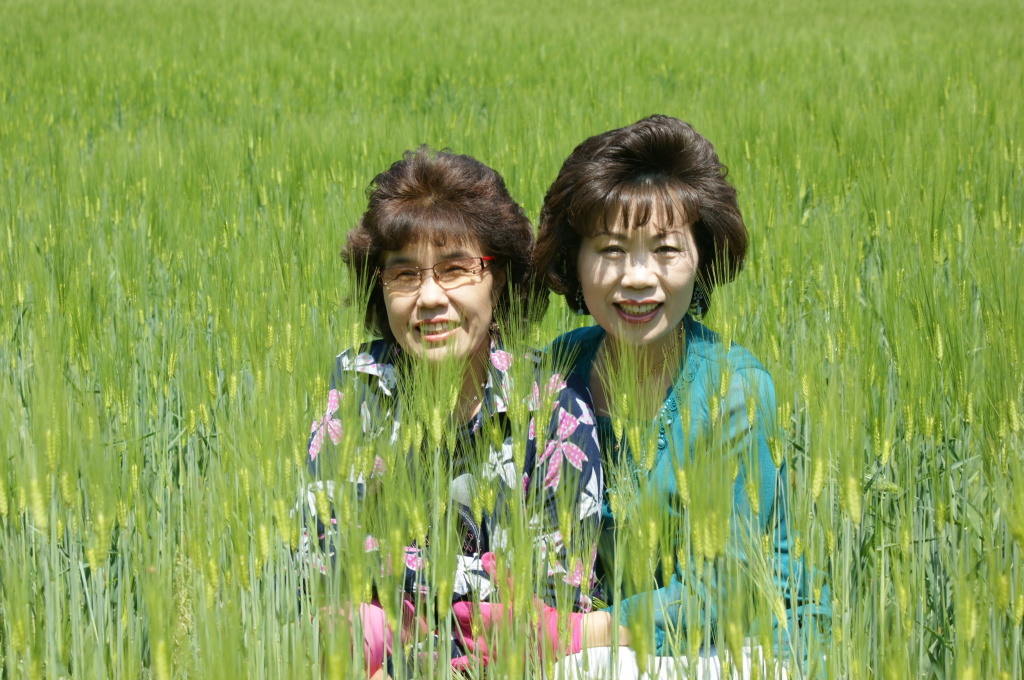 이미지를 클릭하면 원본을 보실 수 있습니다.