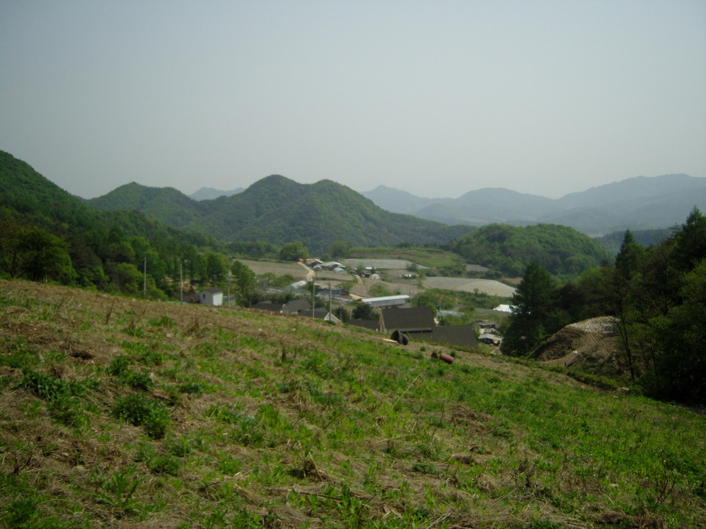 이미지를 클릭하면 원본을 보실 수 있습니다.