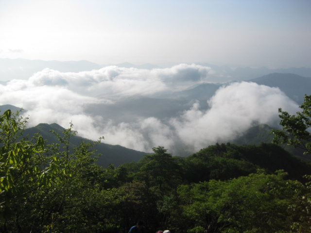 이미지를 클릭하면 원본을 보실 수 있습니다.