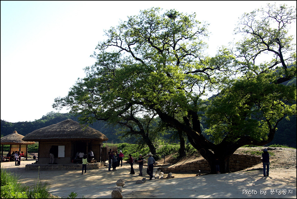 이미지를 클릭하면 원본을 보실 수 있습니다.