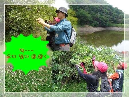 이미지를 클릭하면 원본을 보실 수 있습니다.