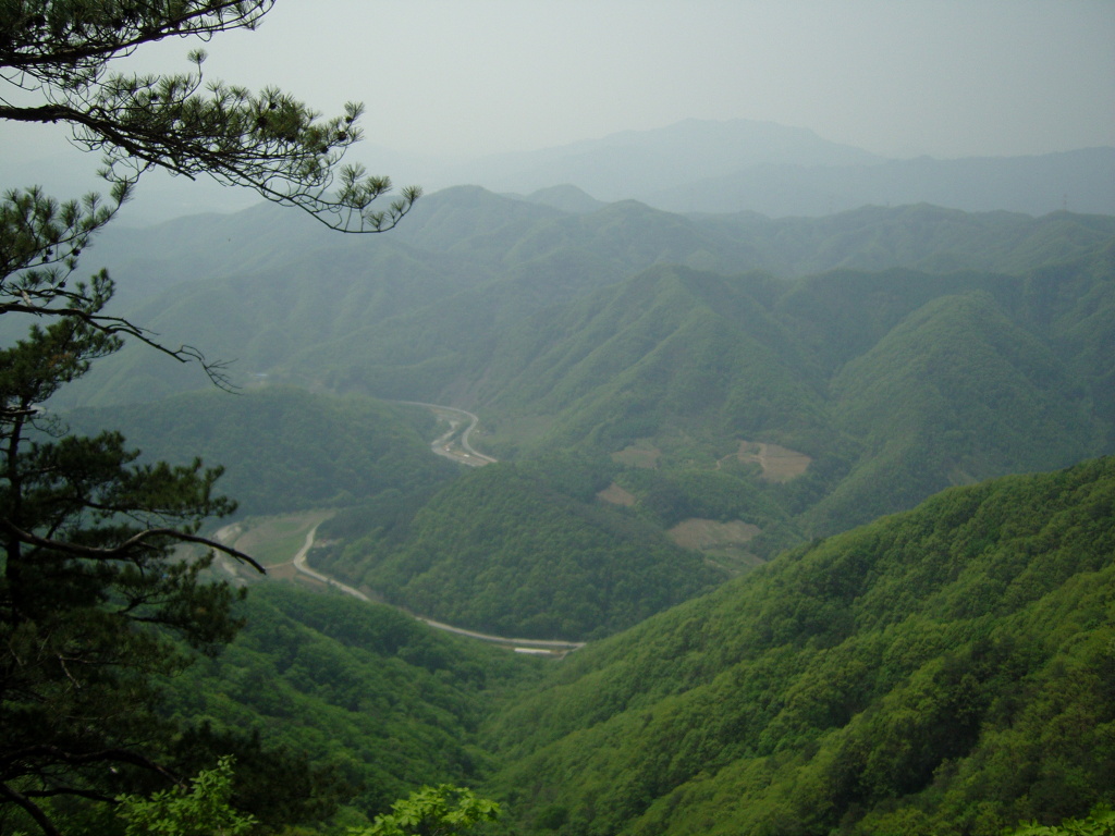 이미지를 클릭하면 원본을 보실 수 있습니다.