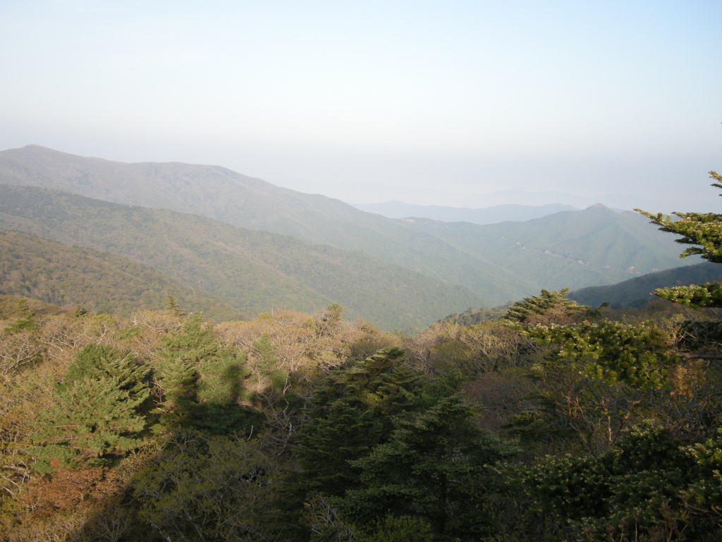 이미지를 클릭하면 원본을 보실 수 있습니다.