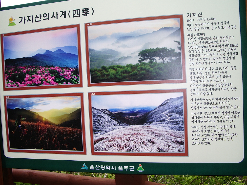 이미지를 클릭하면 원본을 보실 수 있습니다.