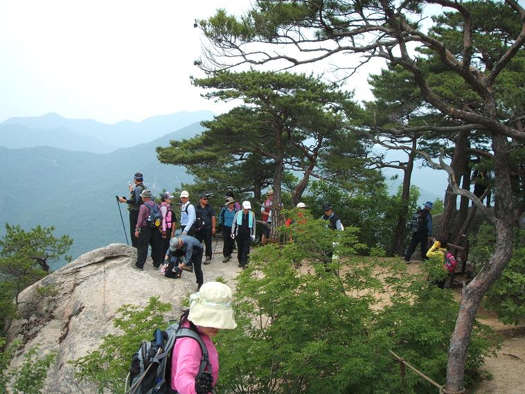 이미지를 클릭하면 원본을 보실 수 있습니다.