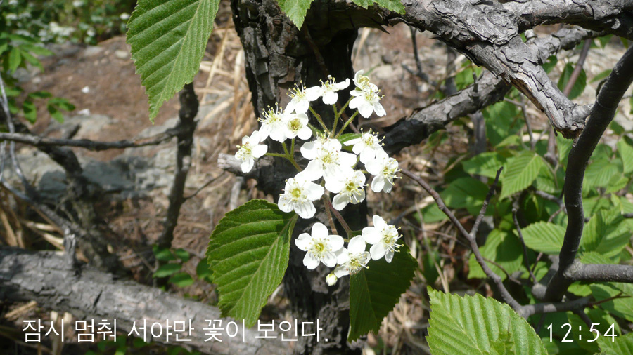 이미지를 클릭하면 원본을 보실 수 있습니다.