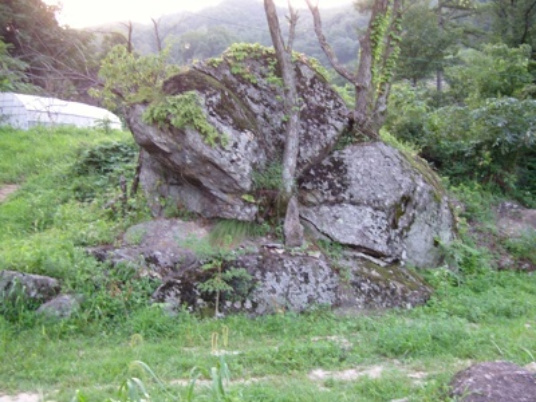 이미지를 클릭하면 원본을 보실 수 있습니다.