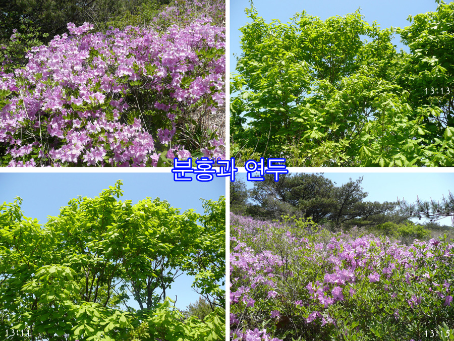 이미지를 클릭하면 원본을 보실 수 있습니다.