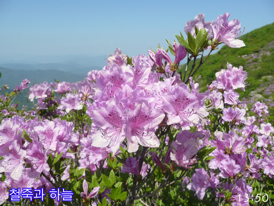 이미지를 클릭하면 원본을 보실 수 있습니다.