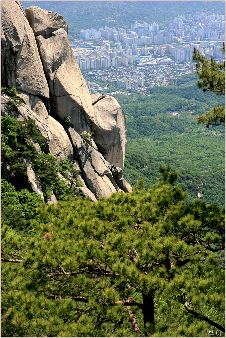 이미지를 클릭하면 원본을 보실 수 있습니다.