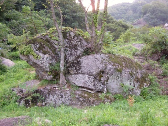 이미지를 클릭하면 원본을 보실 수 있습니다.