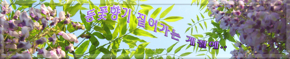 이미지를 클릭하면 원본을 보실 수 있습니다.