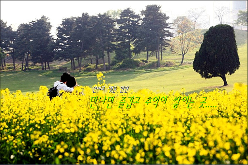 이미지를 클릭하면 원본을 보실 수 있습니다.