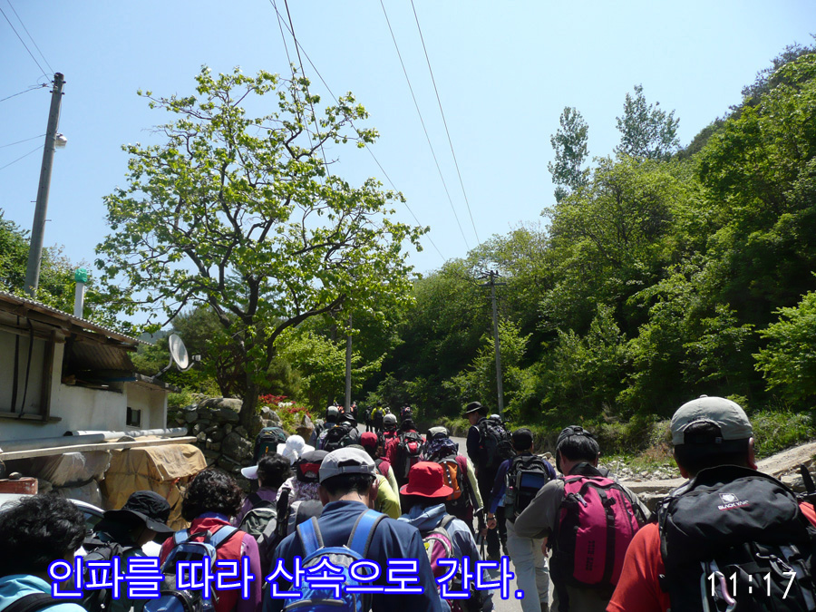 이미지를 클릭하면 원본을 보실 수 있습니다.