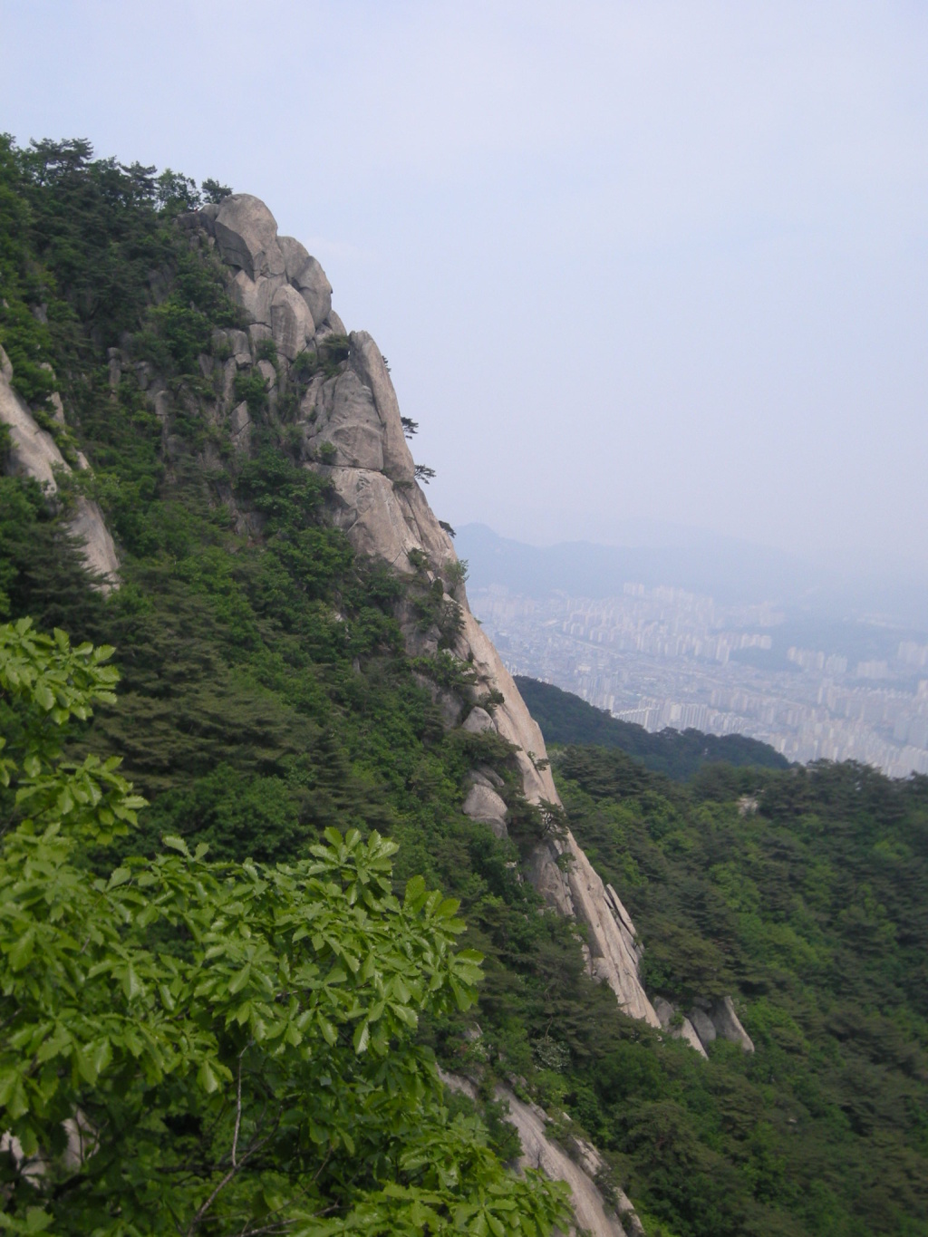 이미지를 클릭하면 원본을 보실 수 있습니다.