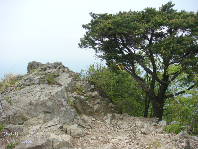 이미지를 클릭하면 원본을 보실 수 있습니다.