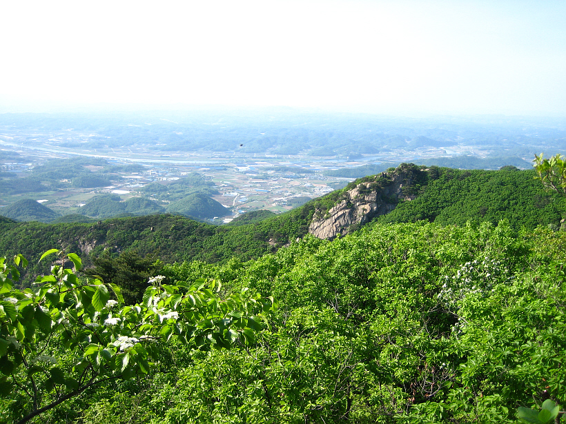 이미지를 클릭하면 원본을 보실 수 있습니다.