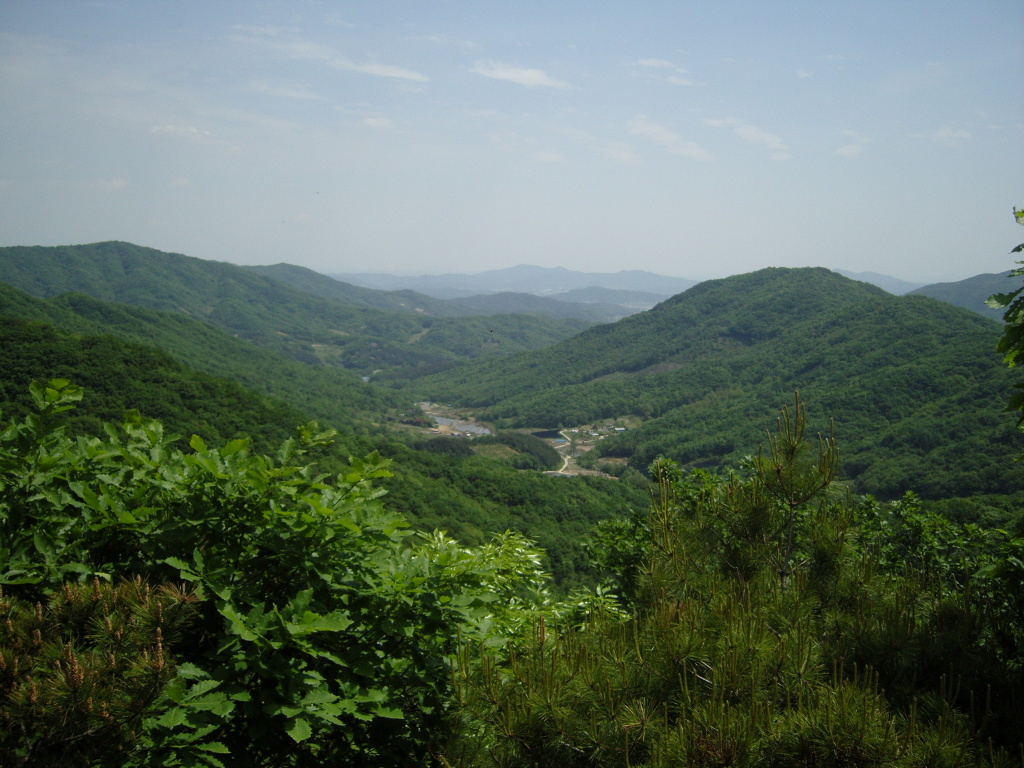 이미지를 클릭하면 원본을 보실 수 있습니다.