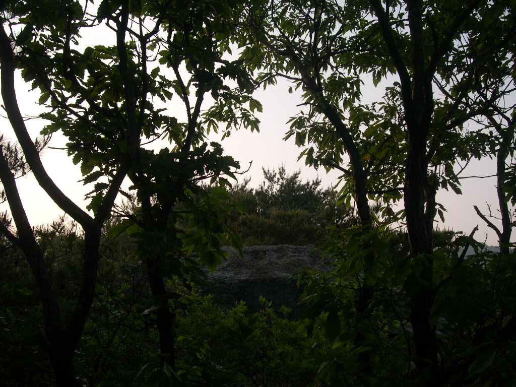 이미지를 클릭하면 원본을 보실 수 있습니다.