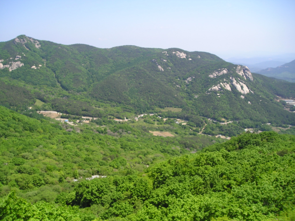 이미지를 클릭하면 원본을 보실 수 있습니다.