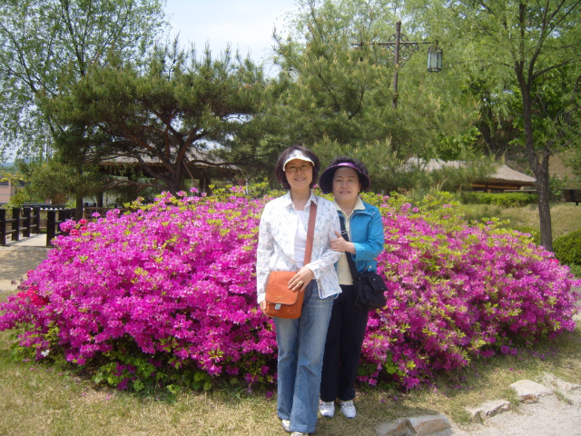 이미지를 클릭하면 원본을 보실 수 있습니다.