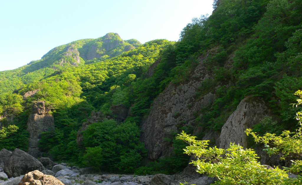 이미지를 클릭하면 원본을 보실 수 있습니다.