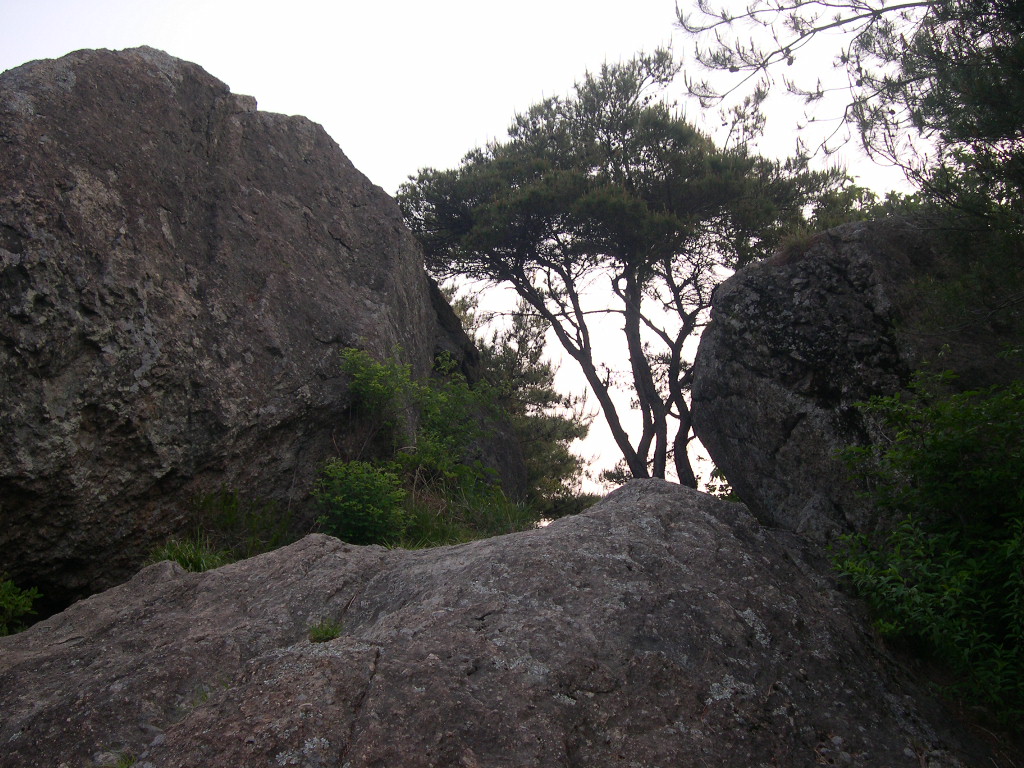 이미지를 클릭하면 원본을 보실 수 있습니다.