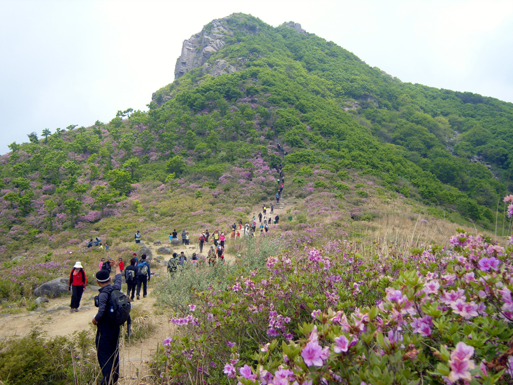들꽃사랑마을즐건풍경