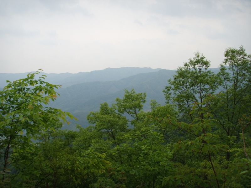 이미지를 클릭하면 원본을 보실 수 있습니다.
