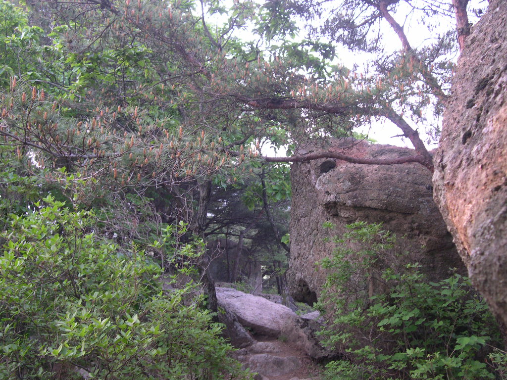 이미지를 클릭하면 원본을 보실 수 있습니다.