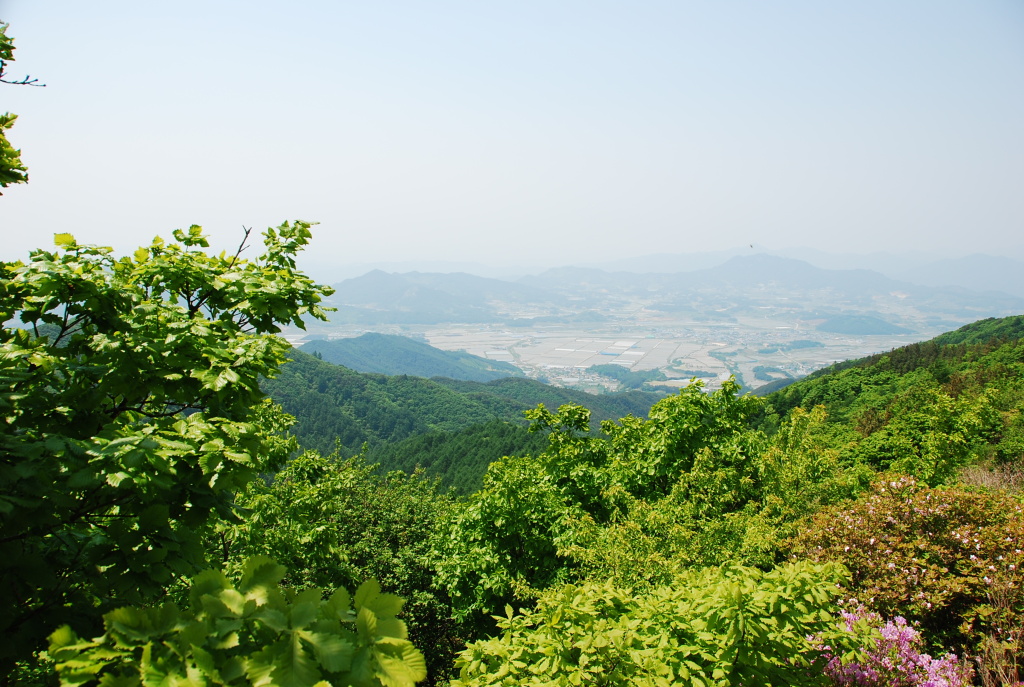 이미지를 클릭하면 원본을 보실 수 있습니다.