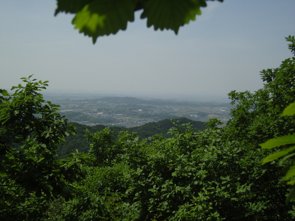이미지를 클릭하면 원본을 보실 수 있습니다.