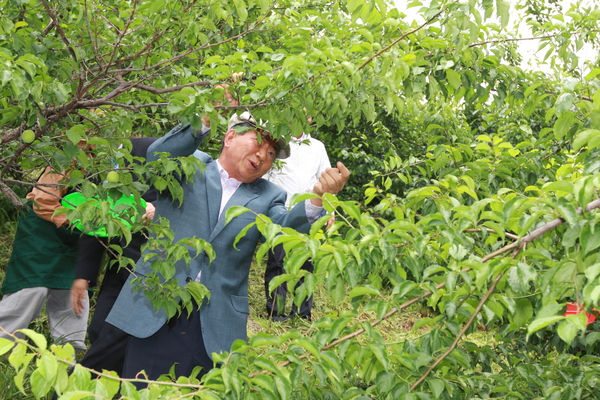 이미지를 클릭하면 원본을 보실 수 있습니다.