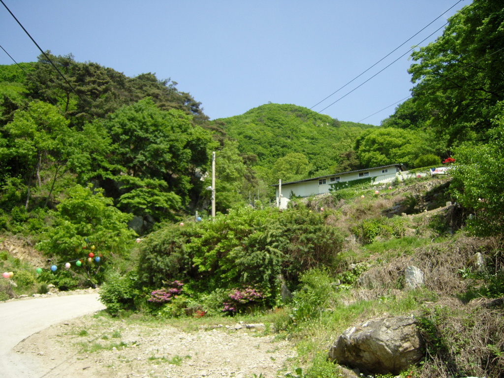 이미지를 클릭하면 원본을 보실 수 있습니다.