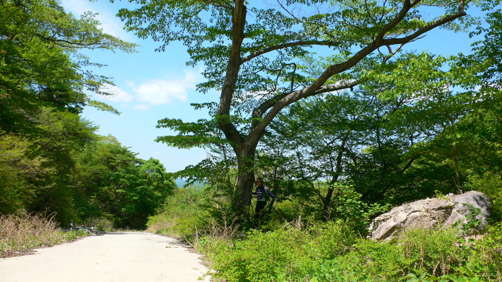 이미지를 클릭하면 원본을 보실 수 있습니다.