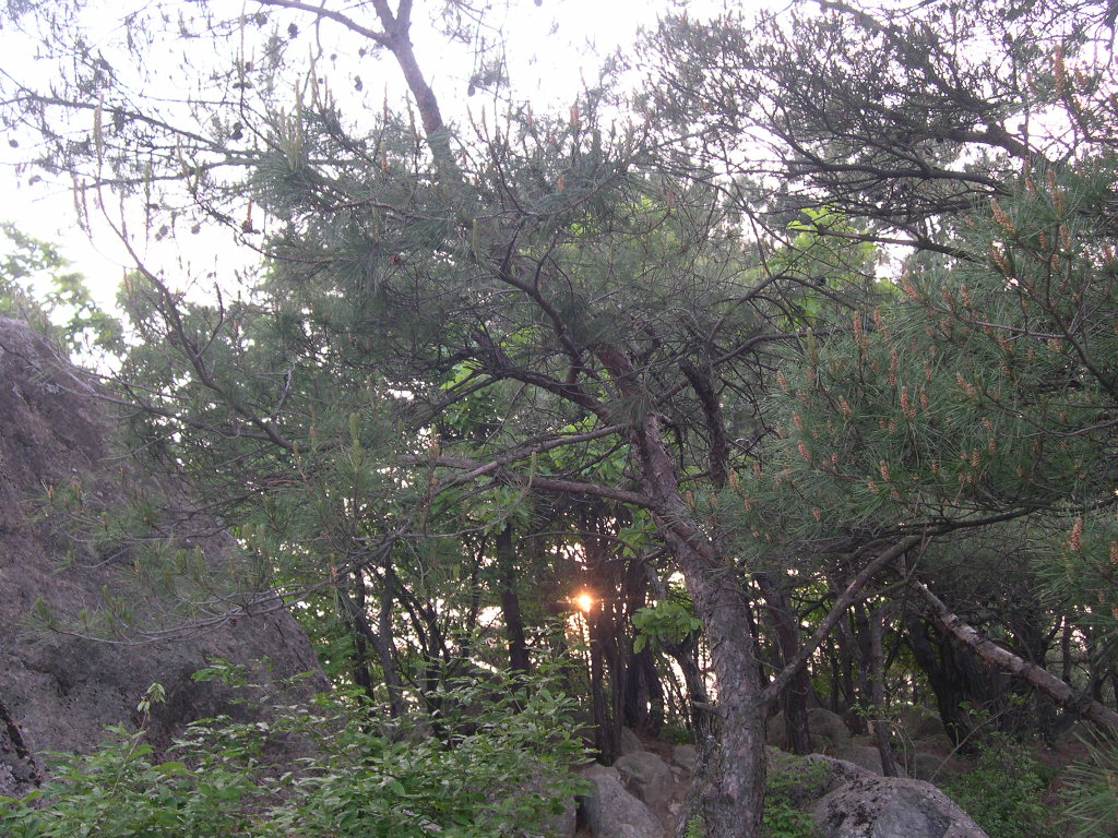 이미지를 클릭하면 원본을 보실 수 있습니다.