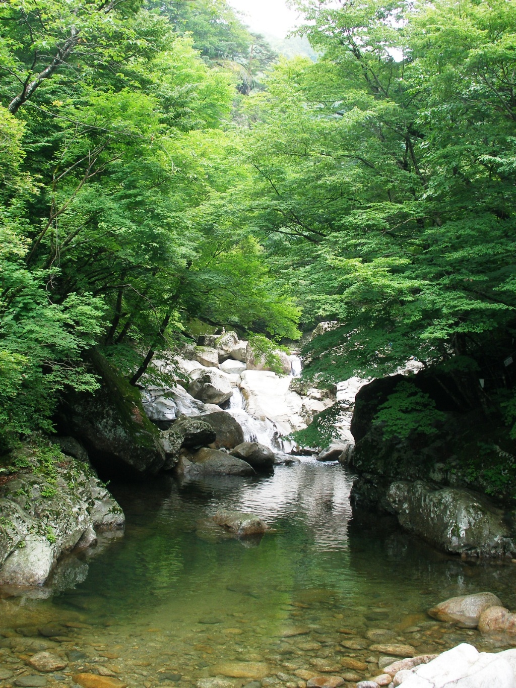 이미지를 클릭하면 원본을 보실 수 있습니다.