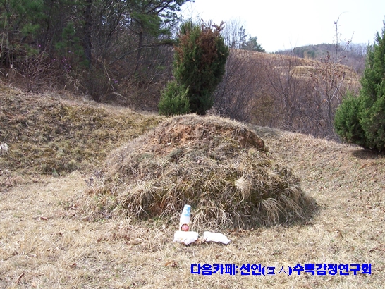 더블클릭을 하시면 이미지를 수정할 수 있습니다