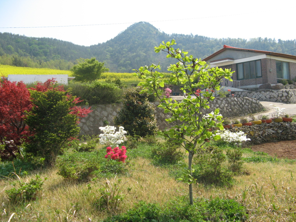 이미지를 클릭하면 원본을 보실 수 있습니다.