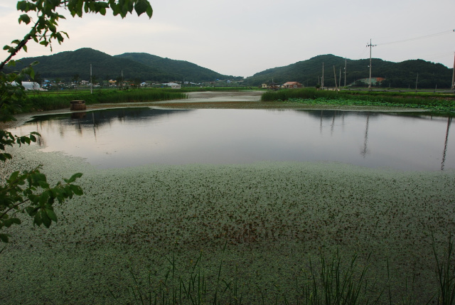 이미지를 클릭하면 원본을 보실 수 있습니다.