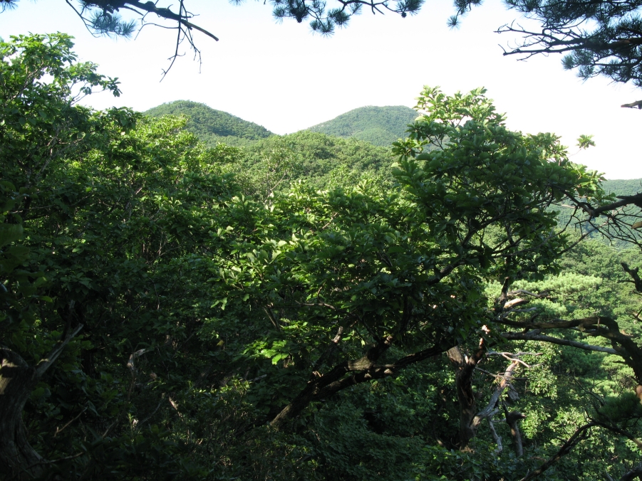 이미지를 클릭하면 원본을 보실 수 있습니다.