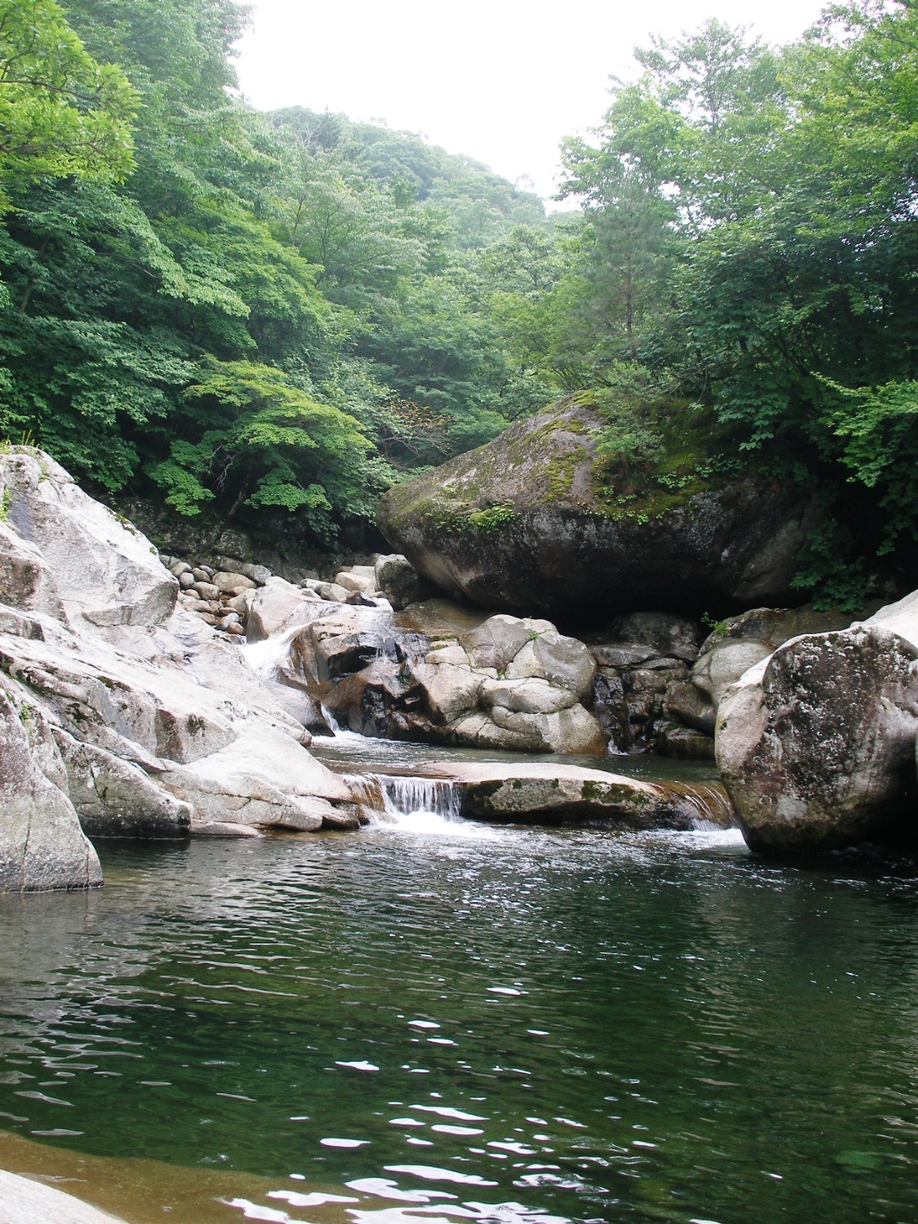 이미지를 클릭하면 원본을 보실 수 있습니다.