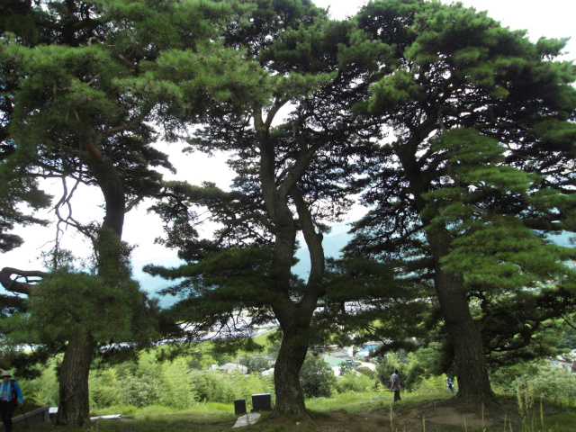 이미지를 클릭하면 원본을 보실 수 있습니다.